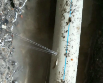 枝江卫生间测漏水多少钱