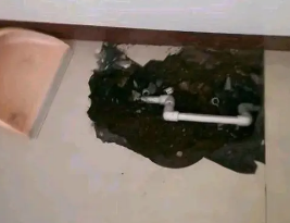 枝江卫生间测漏水多少钱